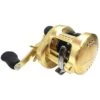 Shimano Calcutta Conquest 300/301 (2018) 2 Shimano Calcutta Conquest 300/301 (2018) -Fladen Verkäufe 0000010000000000r 1