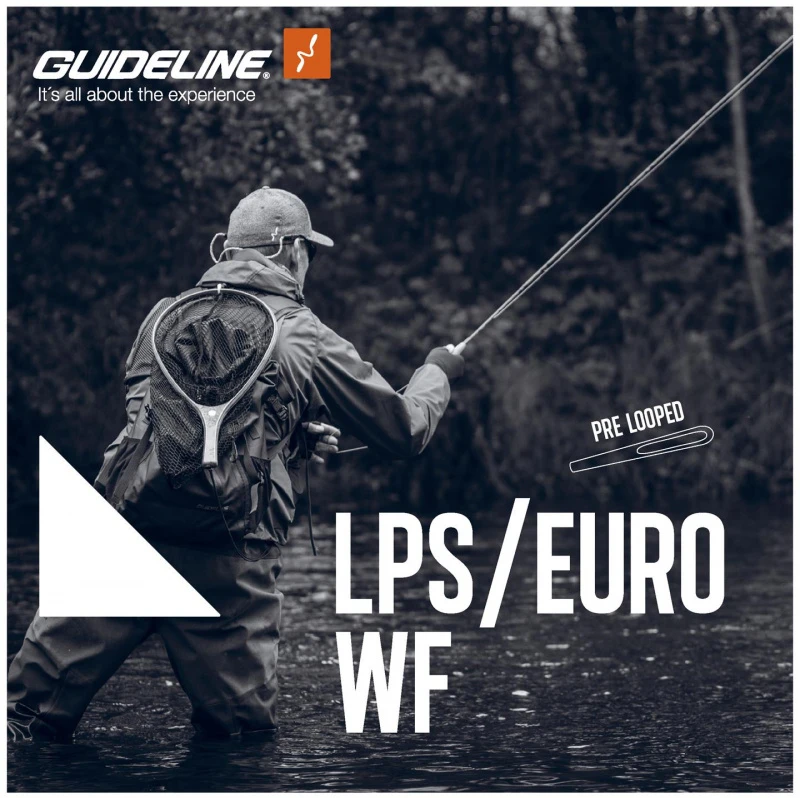 Guideline LPS Euro 4 Guideline LPS Euro – Bild 2