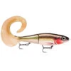 Rapala X-Rap Otus 17cm -Fladen Verkäufe 122675NOr 1