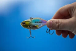 Berkley DEX Ripper -Fladen Verkäufe 1572667r 5