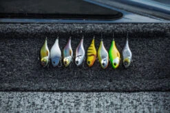 Berkley DEX Ripper -Fladen Verkäufe 1572667r 6