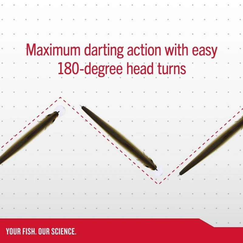 Berkley DEX Stunna 11cm 4 Berkley DEX Stunna 11cm – Bild 2