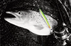 Fladen Silver Chaser 18g -Fladen Verkäufe 16 6818 1r 2