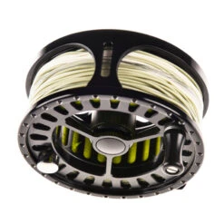 Pool 12 Accelerator -Fladen Verkäufe 20191837r 2