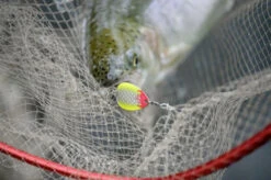 Magic Trout Bloody Big Blade 3,5cm, 2,6g 7 Magic Trout Bloody Big Blade 3,5cm, 2,6g -Fladen Verkäufe 22 3364008r 3