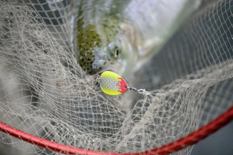 Magic Trout Bloody Big Blade 3,5cm, 2,6g 5 Magic Trout Bloody Big Blade 3,5cm, 2,6g – Bild 3