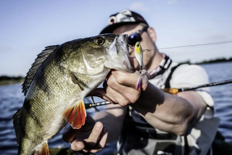 Quantum 4Street Spin-Jig 14g 4 Quantum 4Street Spin-Jig 14g – Bild 2