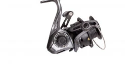 Quantum G-Force GF -Fladen Verkäufe 22 401020r 4