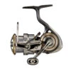 Daiwa 21 Luvias Airity