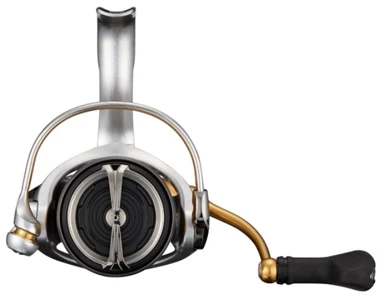 Daiwa 21 Freams LT 6 Daiwa 21 Freams LT – Bild 4