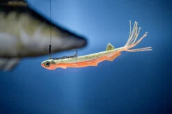 Quantum Pelagic Shad Set Hairy 21cm, 60g 7 Quantum Pelagic Shad Set Hairy 21cm, 60g -Fladen Verkäufe 3461007r 3