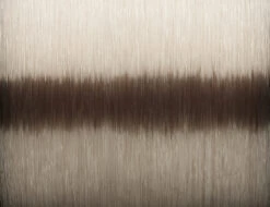 Savage Gear Silencer Mono Fade 1500m -Fladen Verkäufe 72273r 2