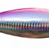 NosyBefisherman Big M15 Popper 150mm, 85g