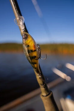 Headbanger Cranky Shad -Fladen Verkäufe CS 25 SS BKr 2