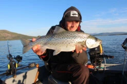 Headbanger Cranky Shad -Fladen Verkäufe CS 25 SS BKr 3