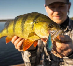 Headbanger Cranky Shad -Fladen Verkäufe CS 25 SS BKr 4