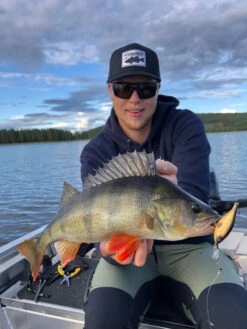 Headbanger Cranky Shad -Fladen Verkäufe CS 25 SS BKr 6