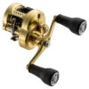 Shimano Calcutta Conquest MD 301XGLH 1 Shimano Calcutta Conquest MD 301XGLH -Fladen Verkäufe CTCNQMD301XGLHB 1
