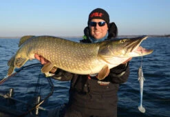 Eastfield Wingman 21cm, 80g -Fladen Verkäufe EFLW001r 4