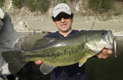 Fish Arrow Flash J Shad 2'' -Fladen Verkäufe FA 4562178061659r 5