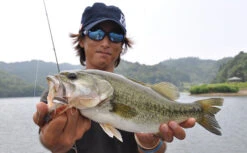 Fish Arrow Flash J Split 8 Fish Arrow Flash J Split -Fladen Verkäufe FA 4562178063738r 3