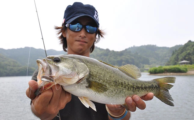 Fish Arrow Flash J Split 5 Fish Arrow Flash J Split – Bild 3