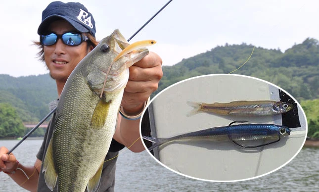 Fish Arrow Flash J Split 6 Fish Arrow Flash J Split – Bild 4