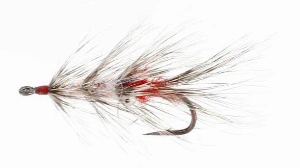 Vaskebjørnen UV 3 Vaskebjørnen UV