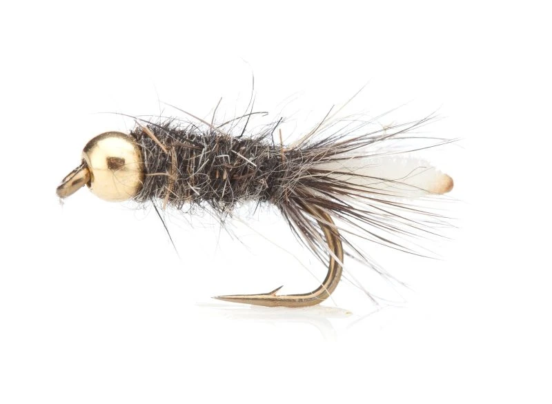 Peeping Caddis (BH) Grey TMC 100 #12 3 Peeping Caddis (BH) Grey TMC 100 #12