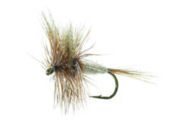 March Brown Brown TMC 100 #12