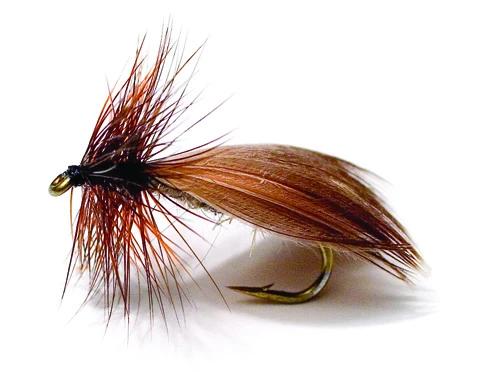 Nattländer Brown TMC 2302 #12 3 Nattländer Brown TMC 2302 #12