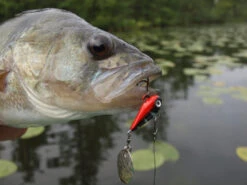 Spinmad Tail Spinner Mag 6g -Fladen Verkäufe GL 0701r 2