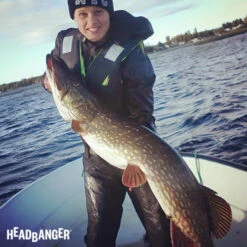 Headbanger Tail -Fladen Verkäufe Headbangertailr 2