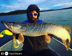 Headbanger Tail -Fladen Verkäufe Headbangertailr 4