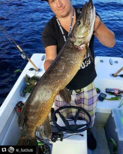 Headbanger Tail -Fladen Verkäufe Headbangertailr 5