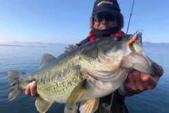 Megabass Dyna Response 14g -Fladen Verkäufe MB DR 4513473478703r 3