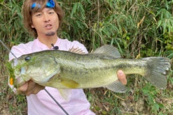 Megabass Vibration-X Dyna (Rattle In) -Fladen Verkäufe MB VXDR 4513473465505r 3