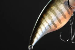 Megabass New Vibration-X Jr (Rattle In) -Fladen Verkäufe MB VXJ 4513473334177r 3