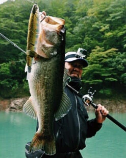 Madness Japan Balam Swimbait 9 Madness Japan Balam Swimbait -Fladen Verkäufe MJPBSIMr 2