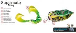 Molix Supernato Frog -Fladen Verkäufe SUPF 141r 2