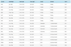 Vision Attack WF -Fladen Verkäufe VC3Fr 3