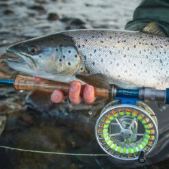 Vision Stifu Flyrod -Fladen Verkäufe VFU4967r 3