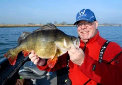 ShadTeez 9 Cm, 7g (bulk) -Fladen Verkäufe WS01412r 2