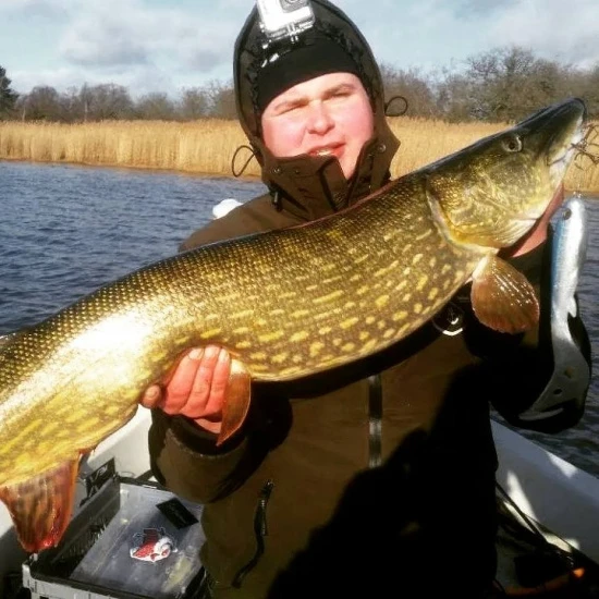 Eastfield Wingman Curly 23cm, 77g 6 Eastfield Wingman Curly 23cm, 77g – Bild 4