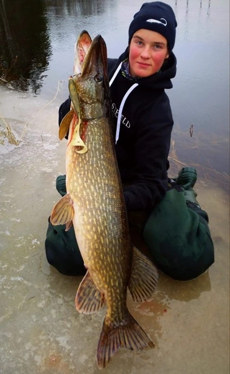 Eastfield Wingman Curly 23cm, 77g 7 Eastfield Wingman Curly 23cm, 77g – Bild 5